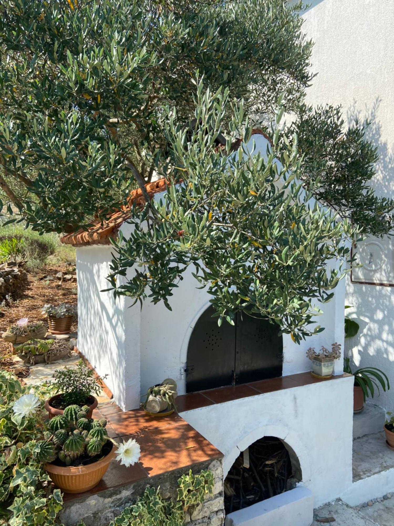 特罗吉尔Family House Ljubica别墅 外观 照片